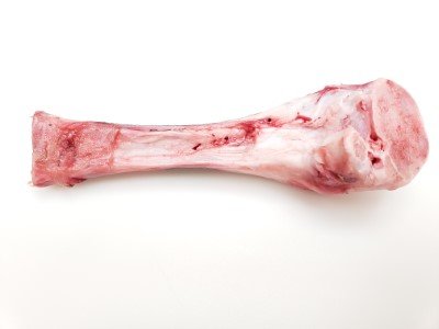 Passover Seder Shank Bone