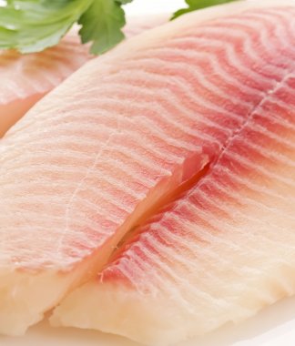 Tilapia