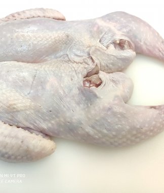 Turkey Fully Deboned