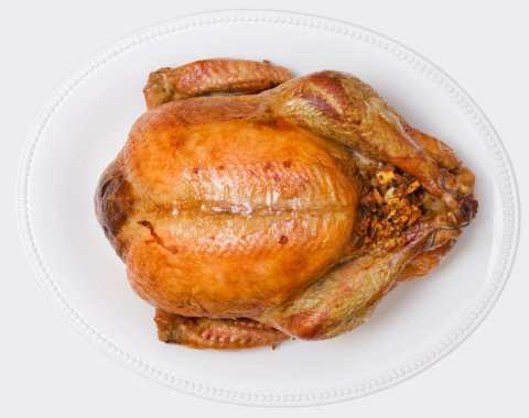 WHOLE Wild Turkey Cooked